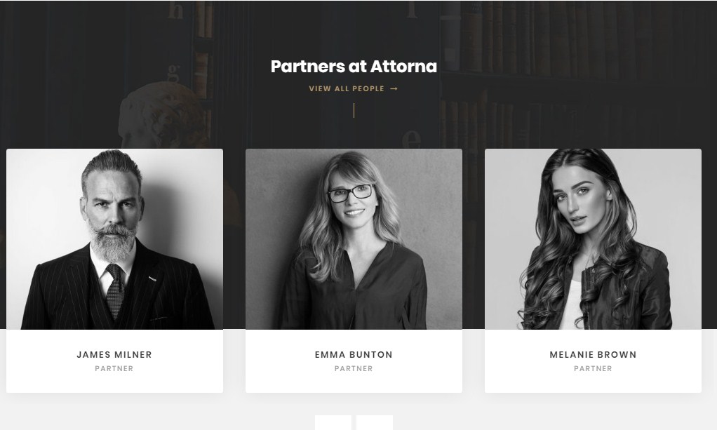 Mẫu website công ty luật T005