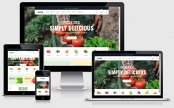 Mẫu website bán rau quả sạch - T002