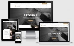 Mẫu website công ty luật T005